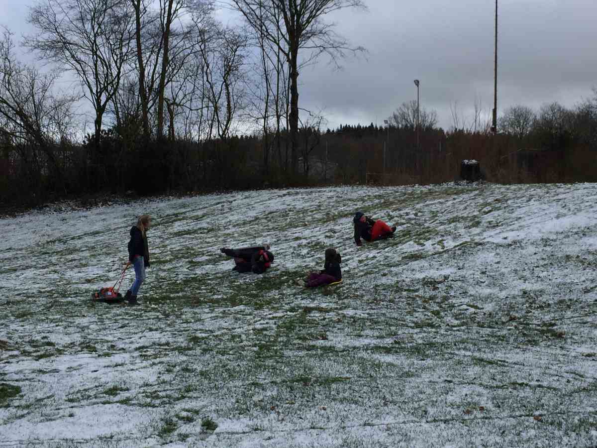 Schlittenfahrer im Park